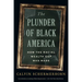 The Plunder of Black America: How the Racial Wealth Gap Was Made