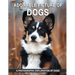 Adorable Picture of Dogs: A Picture Book with Beautiful Dogs to Help Memory Loss for Seniors, Dementia with Alzheimer's.