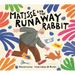 Matisse and the Runaway Rabbit