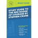 Study Guide to The Red Badge of Courage by Stephen Crane