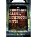The Peculiar Case of the Luminous Eye: A Paranormal Thriller