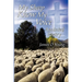 My Sheep Know My Voice: Anointed Poetry