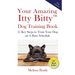 Your Amazing Itty Bitty(TM) Dog Training Book: 15 Key Steps to Train Your Dog on A Busy Schedule