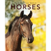 Horses: Amazing Pictures & Fun Facts on Animals in Nature