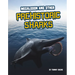 Megalodon and Other Prehistoric Sharks