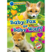 Baby Fox or Baby Wolf?