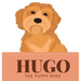 Hugo the Puppy Hero