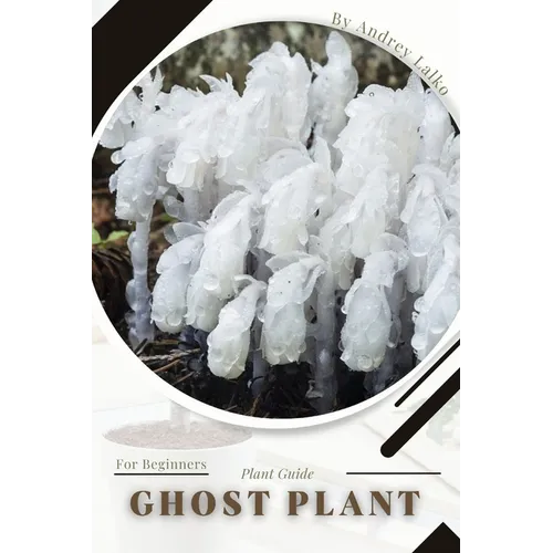 Ghost Plant: Plant Guide