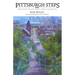 Pittsburgh Steps: The Story of the City's Public Stairways