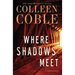 Where Shadows Meet: A Romantic Suspense Novel