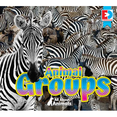 All about Animals - Animal Groups
