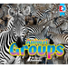 All about Animals - Animal Groups