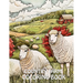 Country Farm Coloring Book: 40+ Images of Country Scenes With Charming Designs, Sheep, Animals and More For Stress Relief And Relaxation