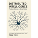 Distributed Intelligence: Problem-Solving in Slime Molds