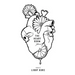 The Heart Room