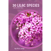 30 Lilac species: Make the right choice