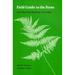 Field Guide to the Ferns: And Other Pteridophytes of Georgia