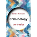 Criminology: The Basics