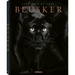 Beusker: Look Into My Eyes