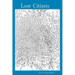 Lost Citizen: Selected Poems 1995-2003