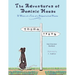 The Adventures of Dominic Mouse