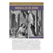 Miracles in John Study Guide