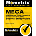 Mega Mild/Moderate Cross Categorical Special Education (050) Secrets Study Guide: Mega Test Review for the Missouri Educator Gateway Assessments
