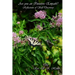 Are You an Intuitive Empath?: Reflections of Self Discovery