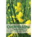 Overyellow: The Poem as Installation Art