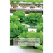 How-To Hydroponics: The Complete Guide to Easily Build Your Sustainable Gardening System at Home. Learn the Secrets of Hydroponics and Boost Your Gard