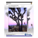 Visitor Vehicle Emissions Study: Joshua Tree National Park- Final Report