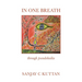 In One Breath: Through Pseudohaiku