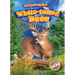 White-Tailed Deer
