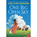 One Big Open Sky