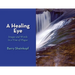 A Healing Eye: Images and Words in a Time of Plague