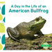 Day in the Life of an American Bullfrog