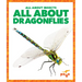 All about Dragonflies