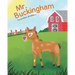 Mr. Buckingham