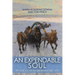 An Expendable Soul