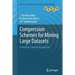 Compression Schemes for Mining Large Datasets: A Machine Learning Perspective