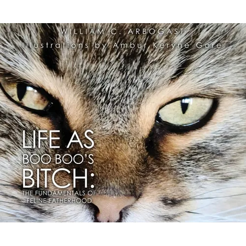 Life as Boo Boo's Bitch: The Fundamentals of Feline Fatherhood