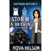 Storm a-Brewin': A Paranormal Cozy Mystery