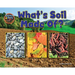 What Is Soil Made Of?