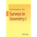 Surveys in Geometry I