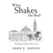 What Shakes the Bed?: Recollections of Life in Mexico City