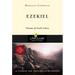 Ezekiel: Visions of God's Glory