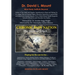 Chronic Pain Nation: The Domino Effect