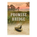 Promise Bridge