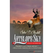 Antelope Sky