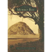 Morro Bay